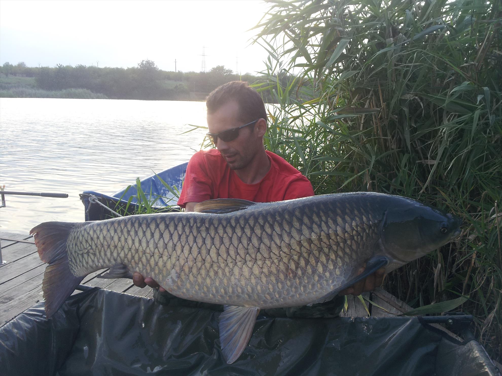 Tancabesti 31 august - 7 septembrie 2014 - 201409051835341.jpg